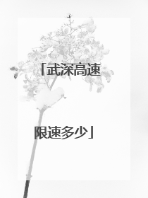 武深高速限速多少