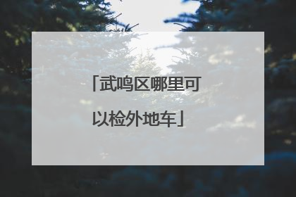 武鸣区哪里可以检外地车