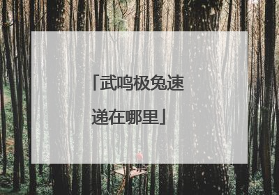 武鸣极兔速递在哪里