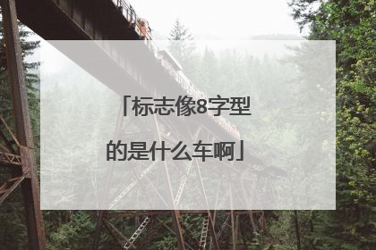 标志像8字型的是什么车啊