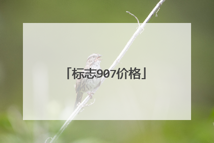 标志907价格