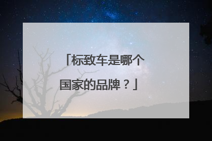 标致车是哪个国家的品牌？