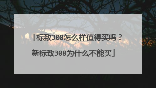 标致308怎么样值得买吗？新标致308为什么不能买