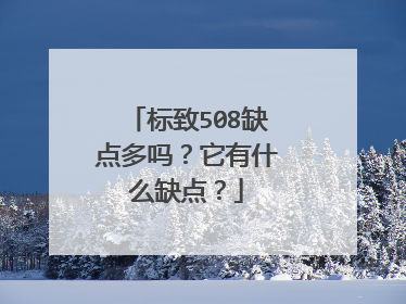 标致508缺点多吗？它有什么缺点？
