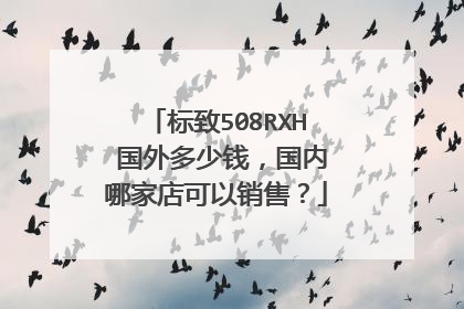 标致508RXH 国外多少钱，国内哪家店可以销售？
