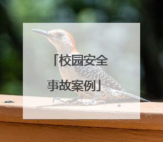 校园安全事故案例