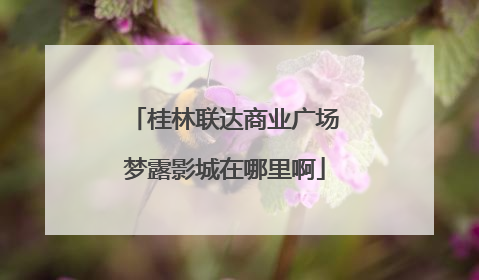 桂林联达商业广场梦露影城在哪里啊