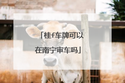 桂f车牌可以在南宁审车吗