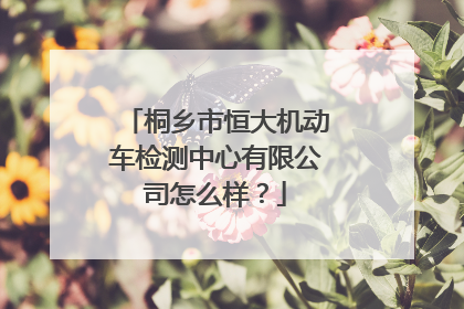 桐乡市恒大机动车检测中心有限公司怎么样？
