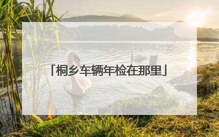 桐乡车辆年检在那里