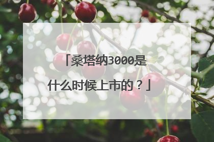 桑塔纳3000是什么时候上市的？