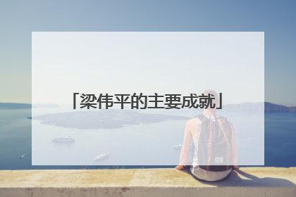 梁伟平的主要成就