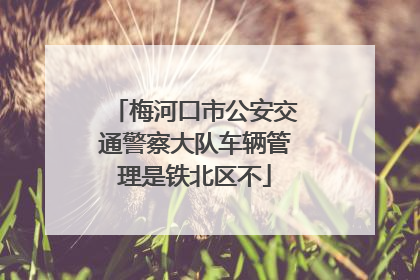 梅河口市公安交通警察大队车辆管理是铁北区不