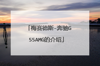 梅赛德斯-奔驰G55AMG的介绍