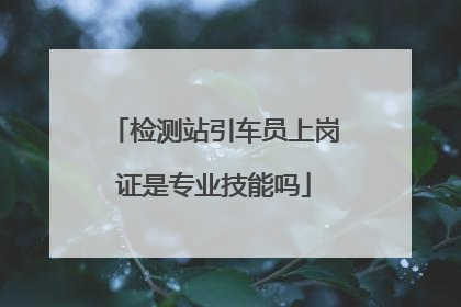 检测站引车员上岗证是专业技能吗