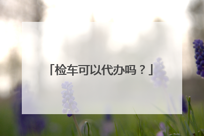 检车可以代办吗？