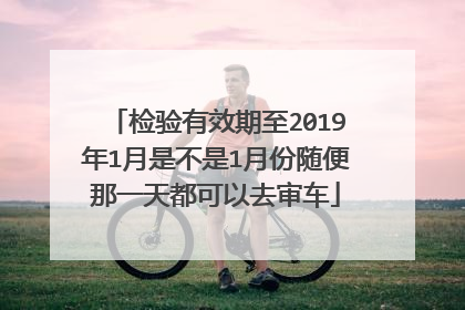 检验有效期至2019年1月是不是1月份随便那一天都可以去审车