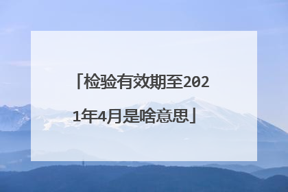 检验有效期至2021年4月是啥意思