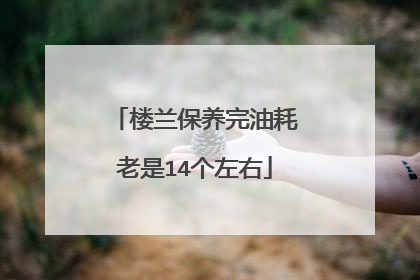 楼兰保养完油耗老是14个左右