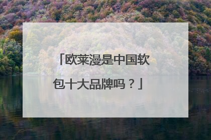 欧莱漫是中国软包十大品牌吗？