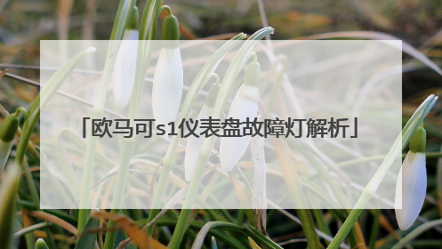 欧马可s1仪表盘故障灯解析