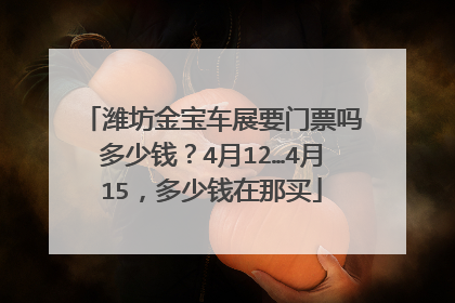 潍坊金宝车展要门票吗多少钱？4月12…4月15，多少钱在那买
