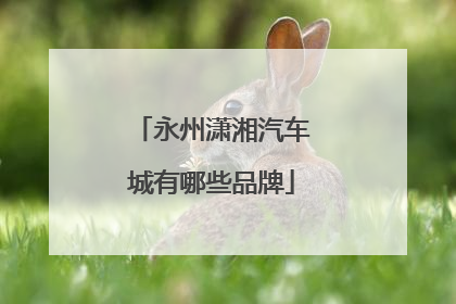 永州潇湘汽车城有哪些品牌
