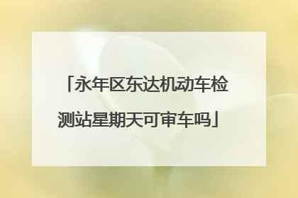 永年区东达机动车检测站星期天可审车吗