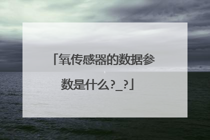 氧传感器的数据参数是什么?_?