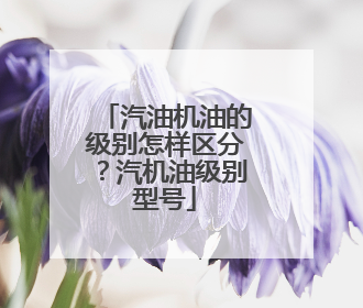 汽油机油的级别怎样区分？汽机油级别型号