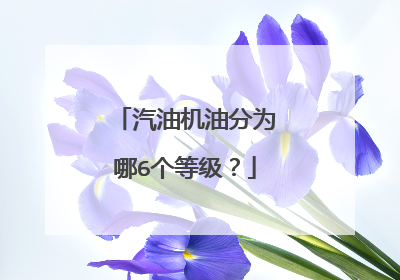 汽油机油分为哪6个等级？
