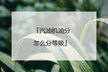 汽油机油分怎么分等级