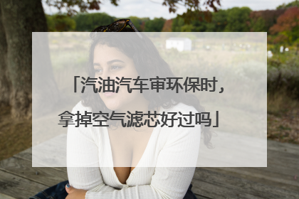 汽油汽车审环保时,拿掉空气滤芯好过吗