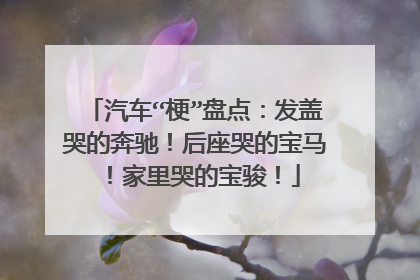 汽车“梗”盘点：发盖哭的奔驰！后座哭的宝马！家里哭的宝骏！