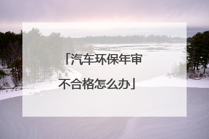 汽车环保年审不合格怎么办