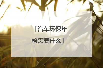 汽车环保年检需要什么