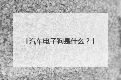汽车电子狗是什么？