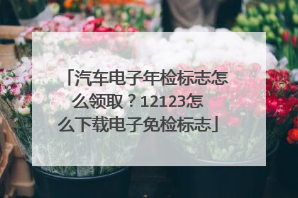 汽车电子年检标志怎么领取？12123怎么下载电子免检标志