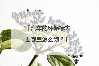 汽车的环保标志去哪里怎么领？