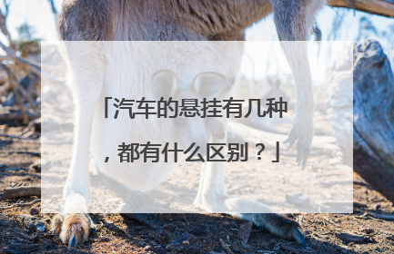 汽车的悬挂有几种，都有什么区别？