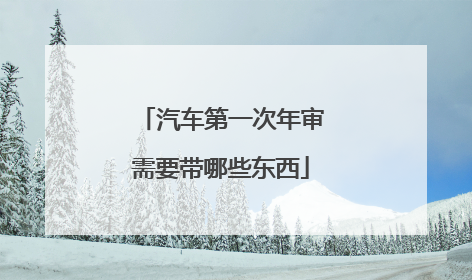汽车第一次年审需要带哪些东西