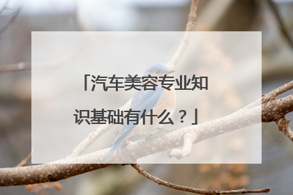 汽车美容专业知识基础有什么？