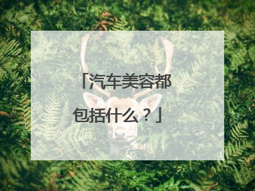 汽车美容都包括什么？