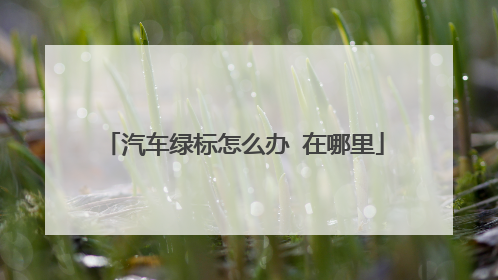 汽车绿标怎么办 在哪里