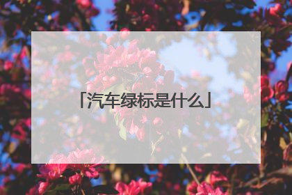汽车绿标是什么