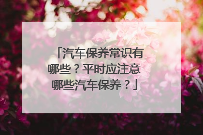 汽车保养常识有哪些？平时应注意哪些汽车保养？