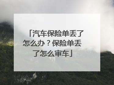 汽车保险单丢了怎么办？保险单丢了怎么审车