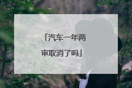 汽车一年两审取消了吗