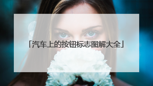 汽车上的按钮标志图解大全