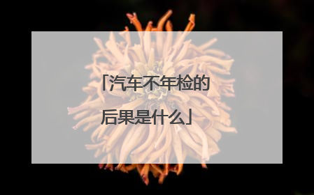 汽车不年检的后果是什么